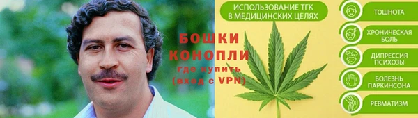 дмт Нея