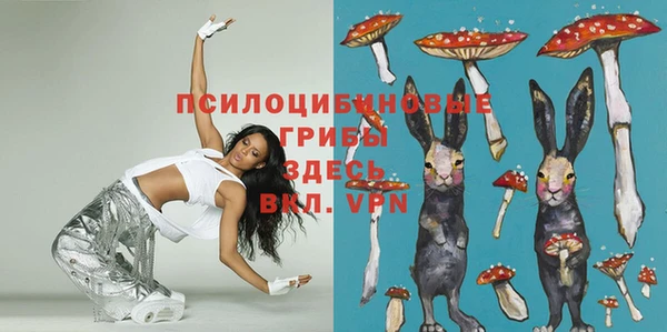 PSILOCYBIN Нефтегорск