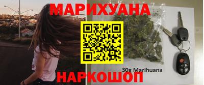 прущие грибы Камышлов