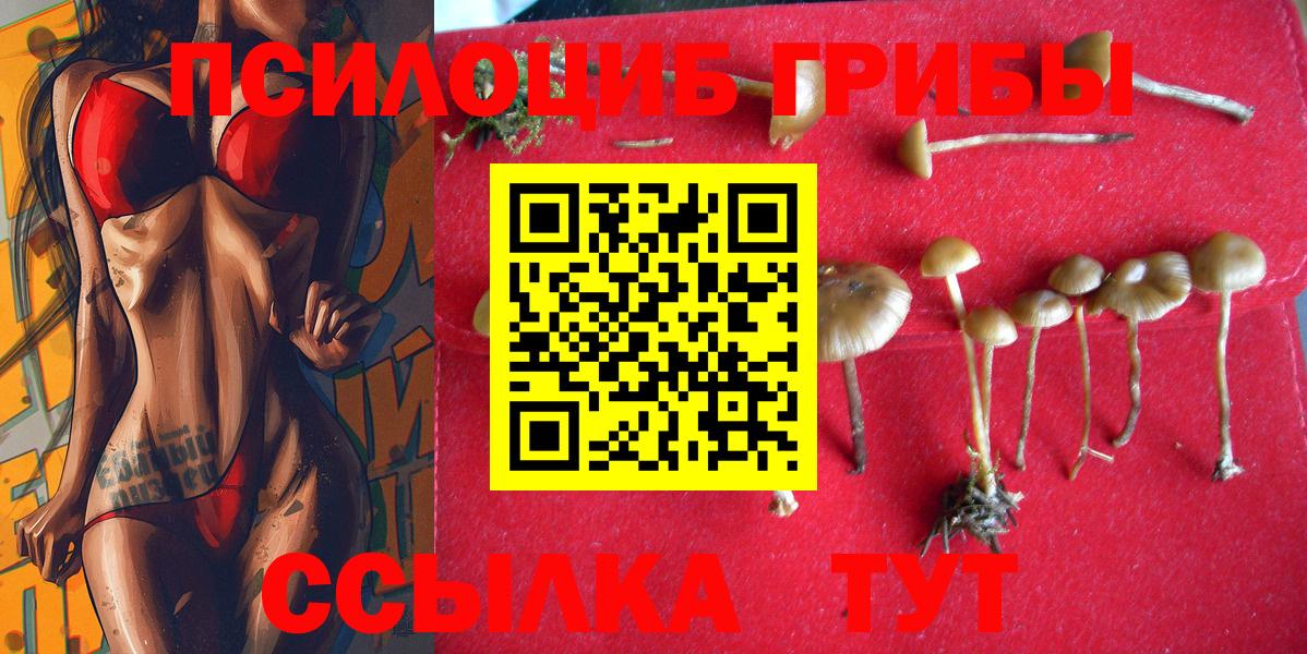 Галлюциногенные грибы Cubensis Армавир