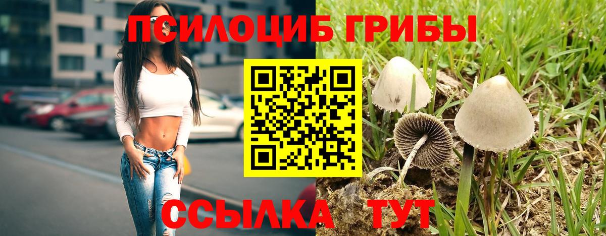 Галлюциногенные грибы ЛСД  Галлюциногенные грибы Psilocybe  Армавир 